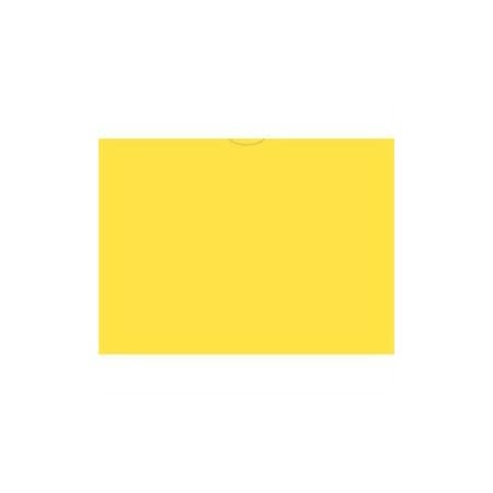 Asp Vhicl Deal Envelopes (Deal Jackets)Plain, 9" X 12", 100 Per Pk:Yellow Pk 5210